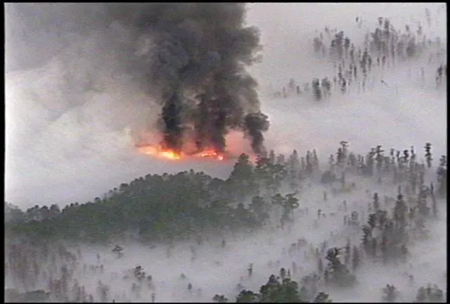 polk-county-fl-fog-accident.jpg